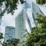 AI And Decarbonization