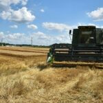 Harvesting