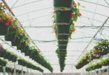 Polycarbonate sheets: a sustainable choice for green building