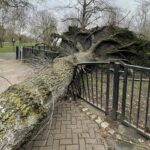 Storm Damaged Fences