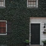Composite-Door-Window