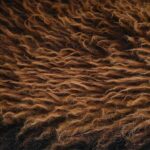 Natural-Fiber-Composites-Market1