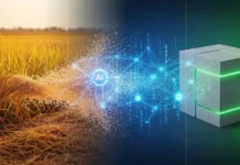 AI-Driven Model Shows Rice Husk Ash Boosts Concrete Capacity Rice Husk Ash