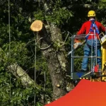 Tracked-Lifts-Best-Overall-Aerial-Lifts-for-Abortists