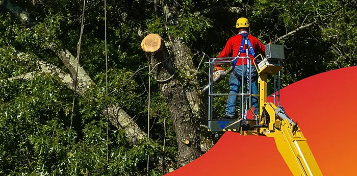 Tracked Lifts Best Overall Aerial Lifts for Abortists