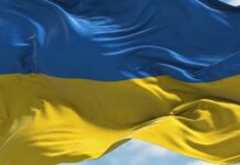 Construction Products Codifier