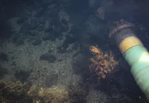 Cable installation protection in marine applications