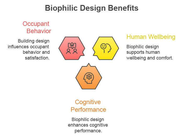 Biophilic Design Benifits