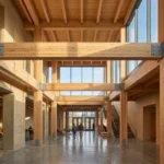 sustainable-building-materials-shaping-future-projects