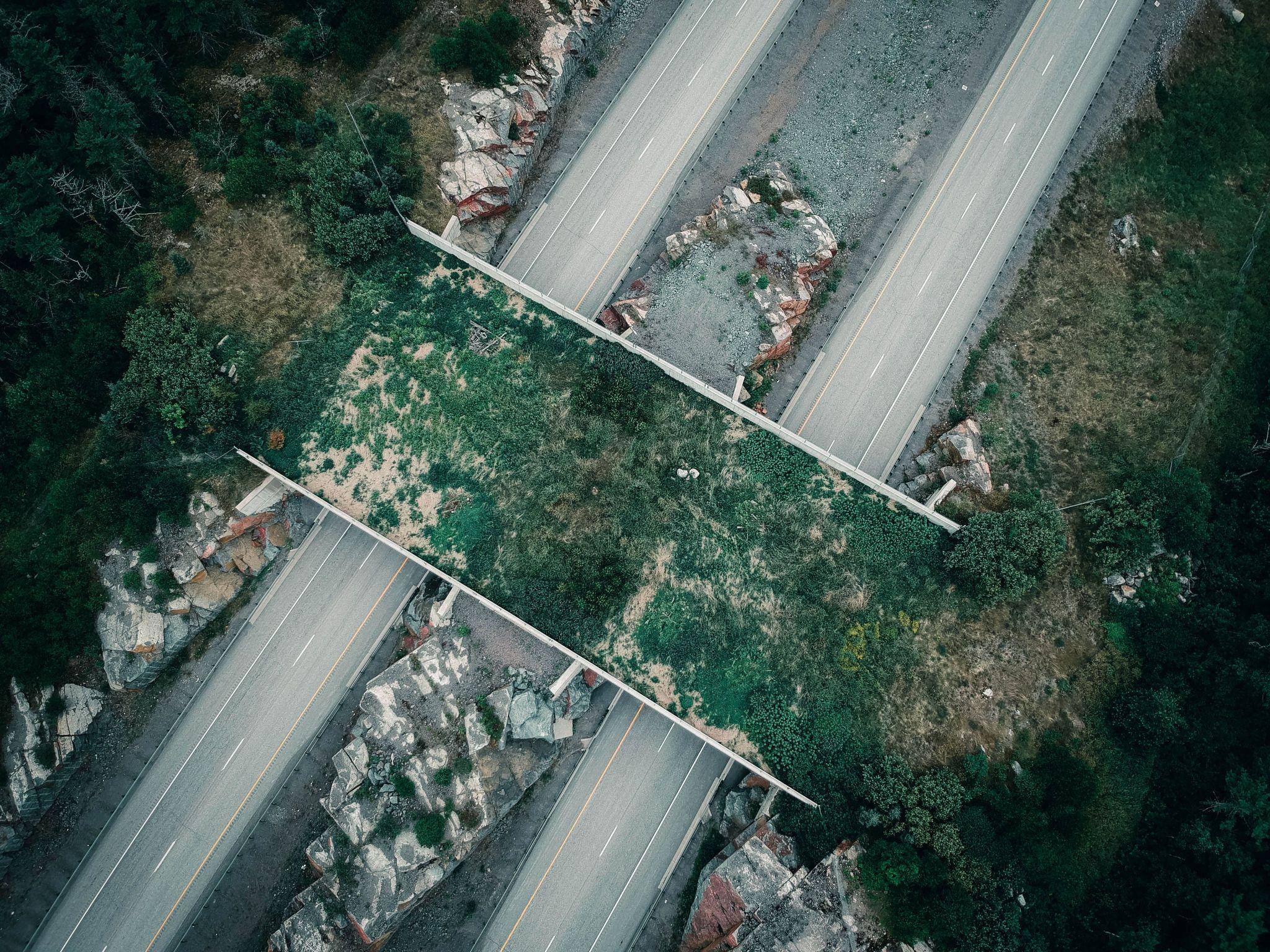 image3.jpg