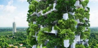 Green Structure: an essential tool for a healthy and eco-friendly life