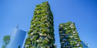 Green Building Materials Market Driven By Sustainability