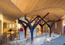 B.C. aims to grow mass timber construction and become the 'Harvard of green building'