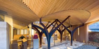 B.C. aims to grow mass timber construction and become the 'Harvard of green building'