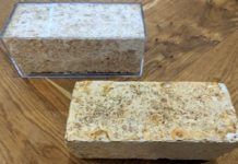  Magic mushrooms turn construction waste into building blocks