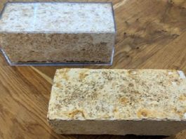  Magic mushrooms turn construction waste into building blocks