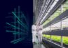Siemens provides automation and building technology for Middle East's biggest vertical farm