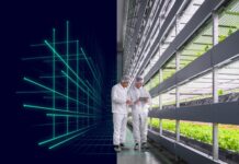 Siemens provides automation and building technology for Middle East's biggest vertical farm