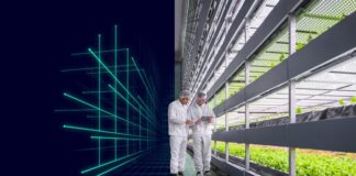 Siemens provides automation and building technology for Middle East's biggest vertical farm