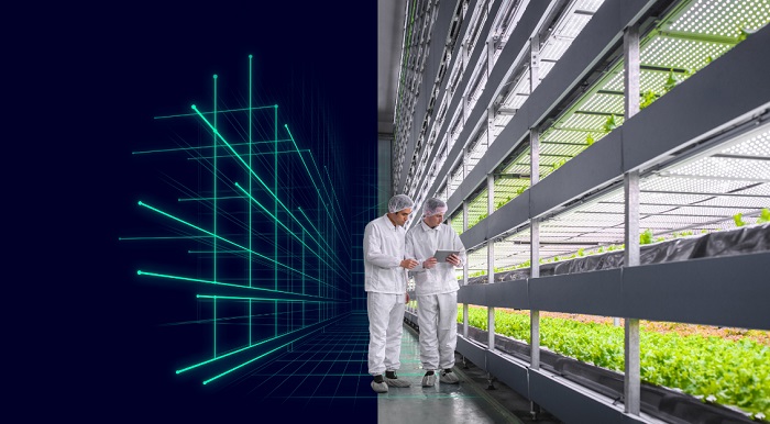 Siemens provides automation and building technology for Middle East's biggest vertical farm